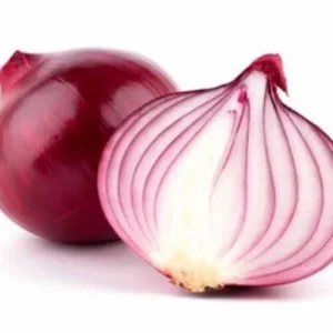 Cebolleta día corto morada B 200