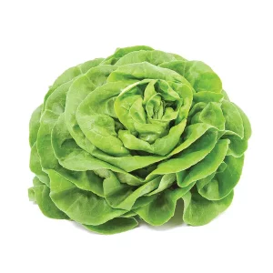 Lechuga Trocadero