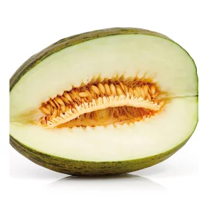 Melón Injertado