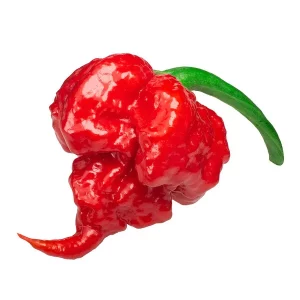 Pimiento Bhut Jolokia