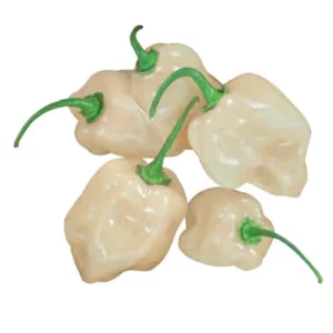 Pimiento Habanero Blanco