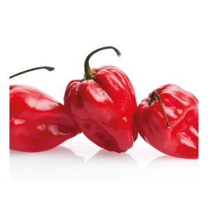 Pimiento Habanero Rojo