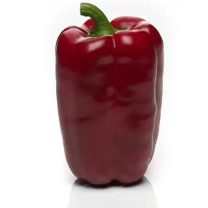 Pimiento Morrón Lamuyo