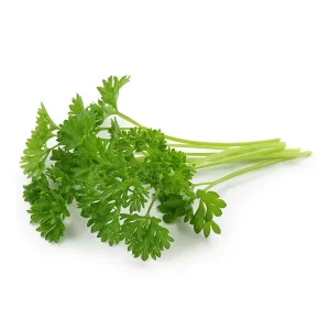 Perejil Rizado