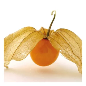 Físalis (alquequenje)