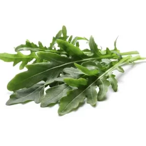 Rúcula