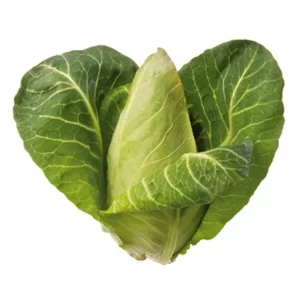 Repollo Corazón de buey