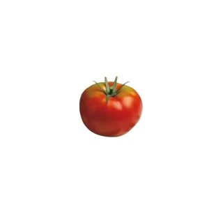 Tomate Óptima
